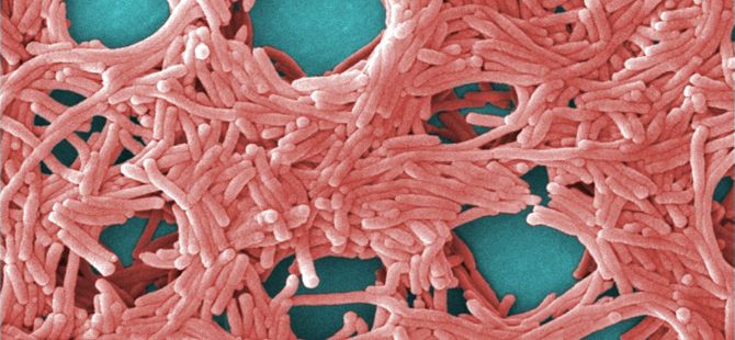 New Rules for Reducing Legionella Risk